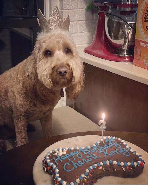 /Images/uploads/Mid County Chamber of Commerce/pet-mayor-2022/entries/24610thumb.jpg